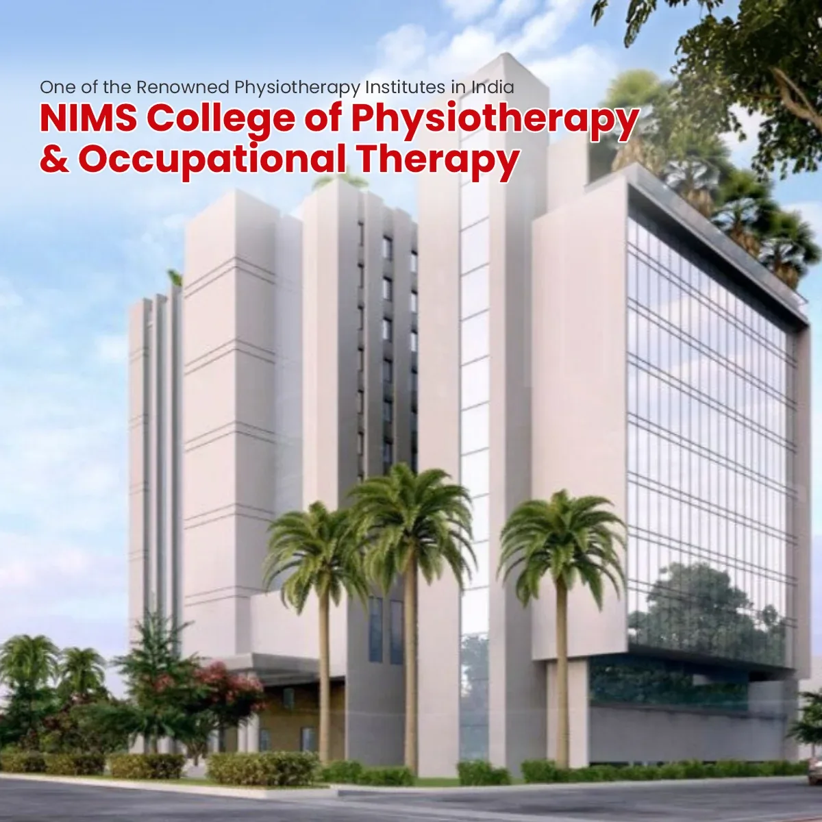 physiotherapy Banner